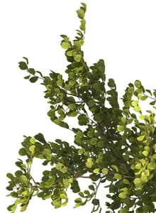 Tax-Smart Retirement Strategies